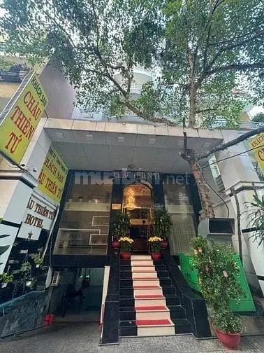 6016325 ảnh đại diện 1