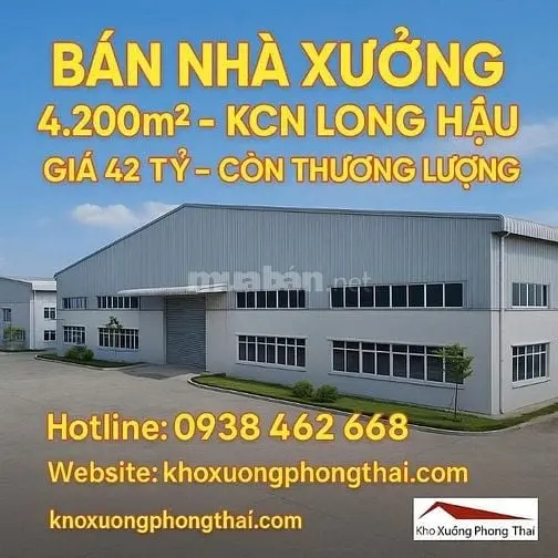 6016243 ảnh đại diện 1