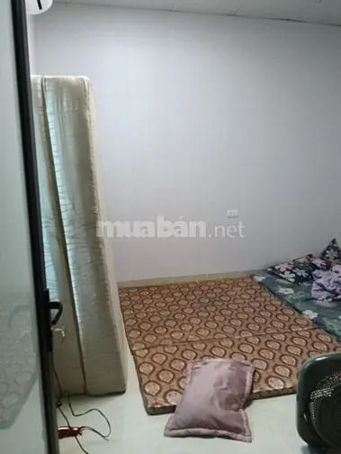 6016074 ảnh đại diện 1