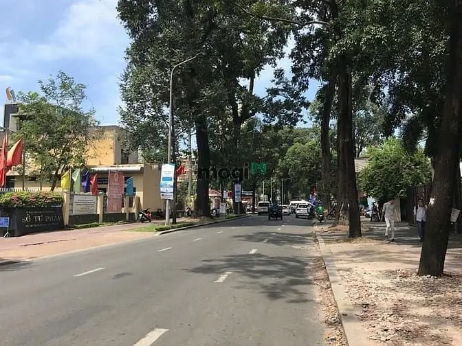 6016391 ảnh đại diện 1