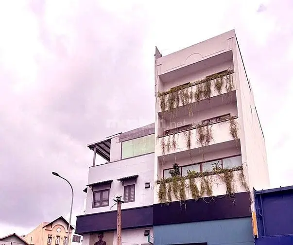 6016370 ảnh đại diện 1