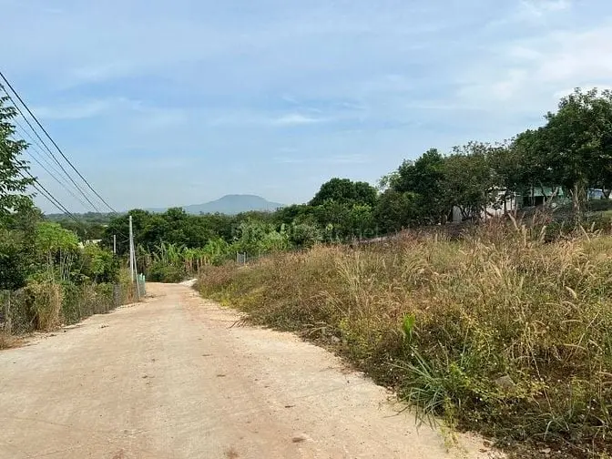 6016093 ảnh đại diện 1