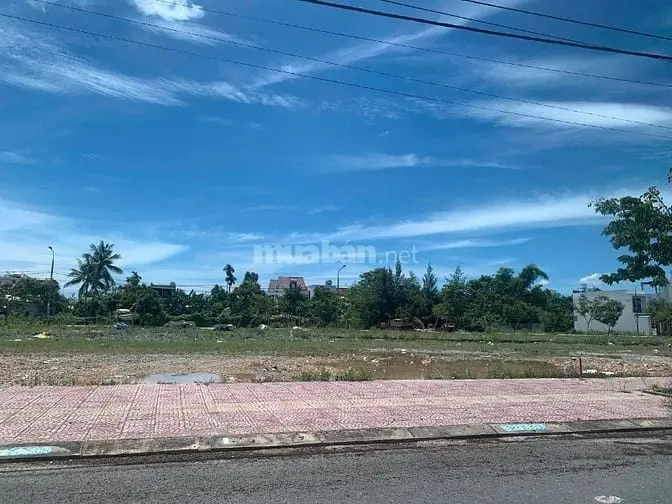 6016111 ảnh đại diện 1