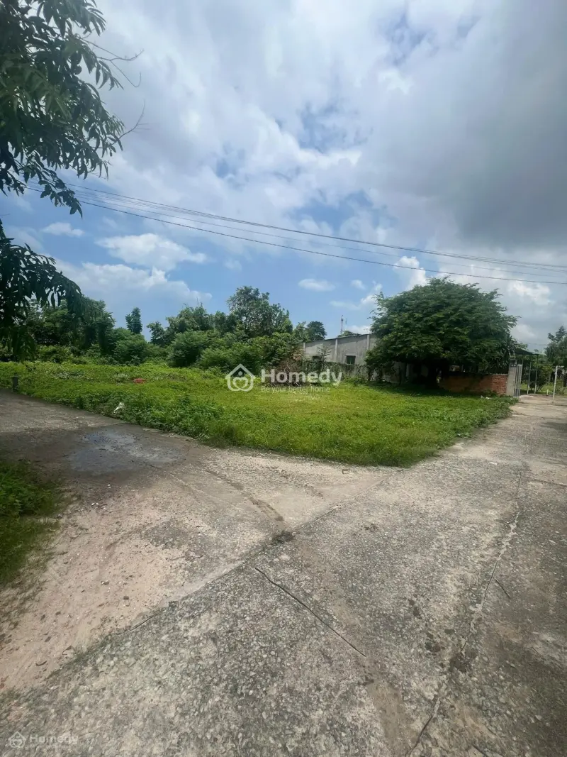 6016427 ảnh đại diện 1