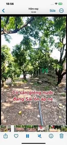 Siêu Phẩm Nghỉ Dưỡng Định Quán – Đất Tựa Núi Nhìn Hồ, Giếng Riêng,