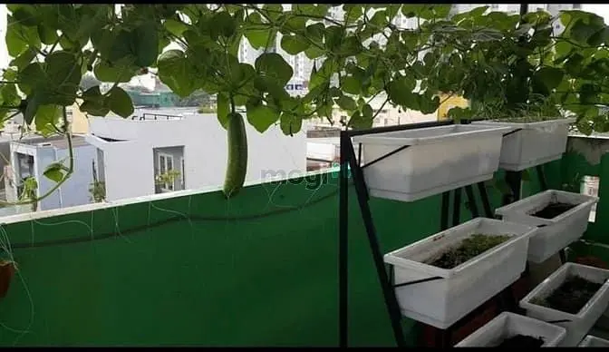 Phú Thạnh Tân Phú 3 Tầng Nở Hậu 4,4M❌10M Gồm 4Pn+3Wc Giá Nhỉnh 4Tỷ