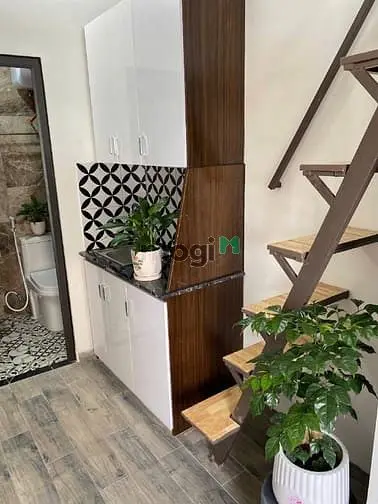 6016387 ảnh đại diện 1