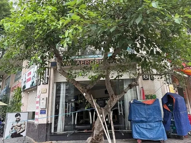 Cho Thuê Nhà Góc 2 Mặt Tiền Khu Cityland Gò Vấp, 5X20M, Dtsd 500M2