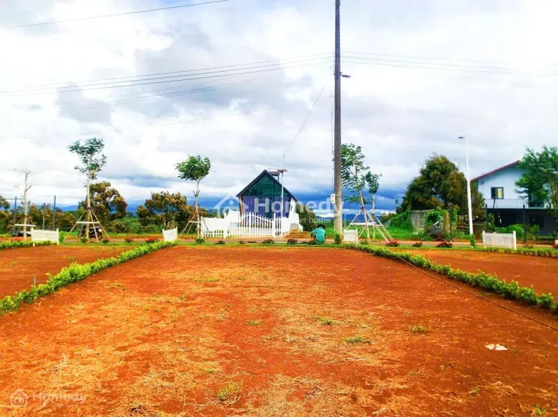 6016366 ảnh đại diện 1