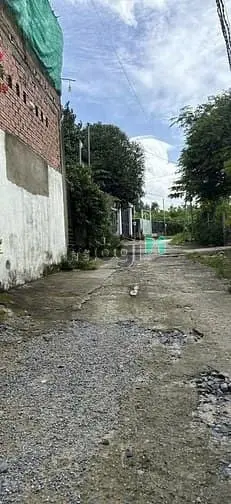 6015912 ảnh đại diện 1