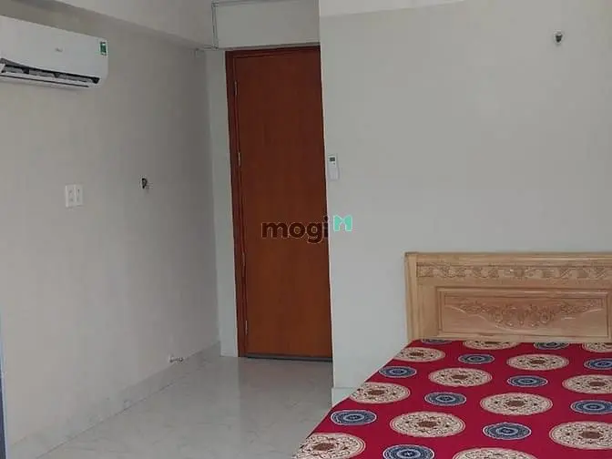 6016409 ảnh đại diện 1