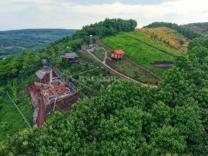 6016217 ảnh đại diện 1