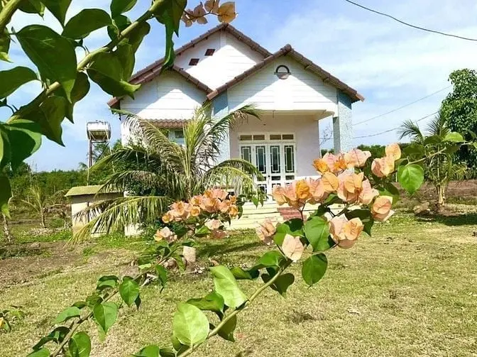 6016218 ảnh đại diện 1