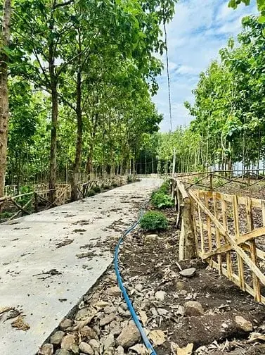 Chính Chủ Bán Gấp 1.080M² Vườn Nghỉ Dưỡng View Hồ Trị An 900 Triệu