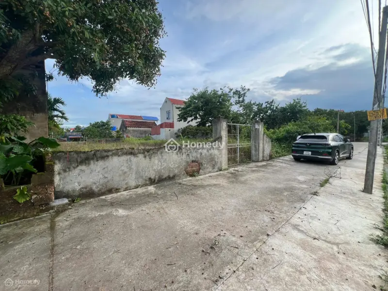 6015907 ảnh đại diện 1