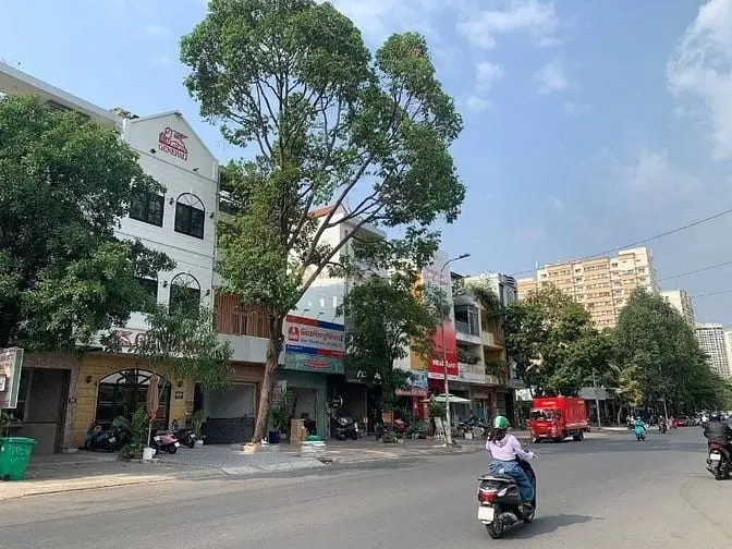 6016067 ảnh đại diện 1