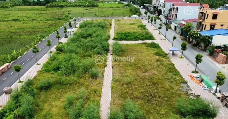 6016780 ảnh đại diện 1