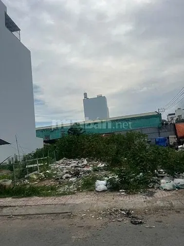 6016738 ảnh đại diện 1