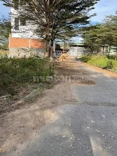 Bán Các Nền Đất Tại Dự Án Khu Dân Cư Thời Báo Kinh Tế Sài Gòn, Quận 9,