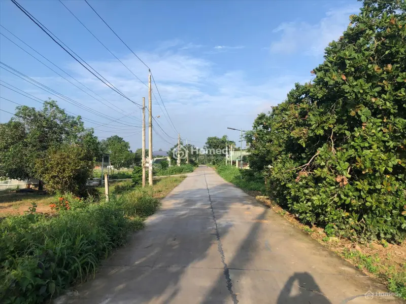 6016783 ảnh đại diện 1