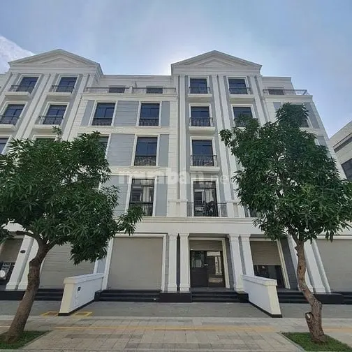 6016729 ảnh đại diện 1