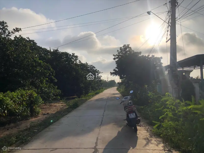 Bán 447M2 Đất Ont Hẻm Quốc Lộ 55 - Tân Xuân - Hàm Tân Giá Ngộp 800 Triệu