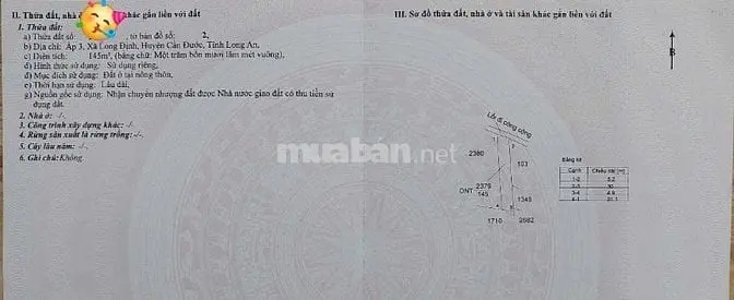 6016656 ảnh đại diện 1
