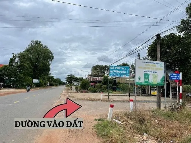 6016587 ảnh đại diện 1