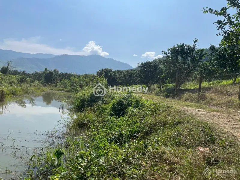 Bán Đất 2023M2 Tại Sông Cầu, Khánh Vĩnh, Khánh Hòa, Giá Chỉ Với 680 Triệu (Có Sẵn Vườn Bưởi)