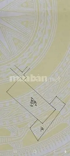 6016590 ảnh đại diện 1