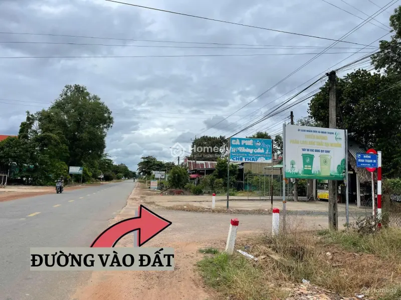 6016887 ảnh đại diện 1