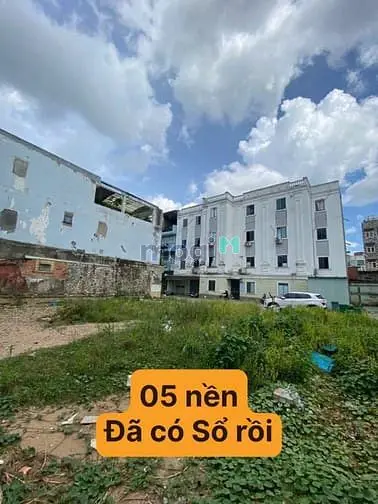 6016555 ảnh đại diện 1