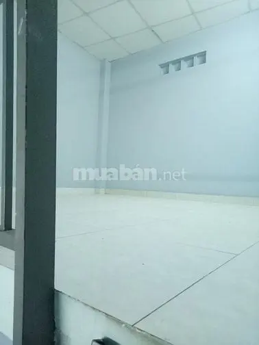 6016617 ảnh đại diện 1