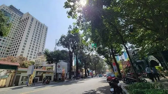 6016568 ảnh đại diện 1