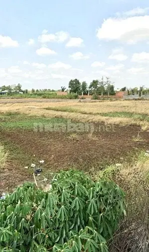 Bán 1067M² Đất Đường Ôtô Tại Xã Tân Qúy Tây, Bình Chánh, Hcm