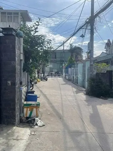 6016722 ảnh đại diện 1