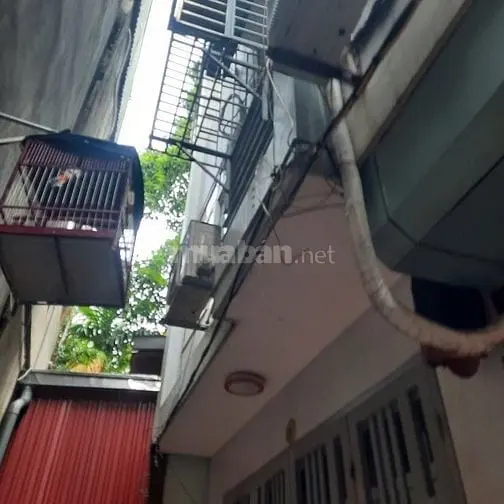 6016547 ảnh đại diện 1