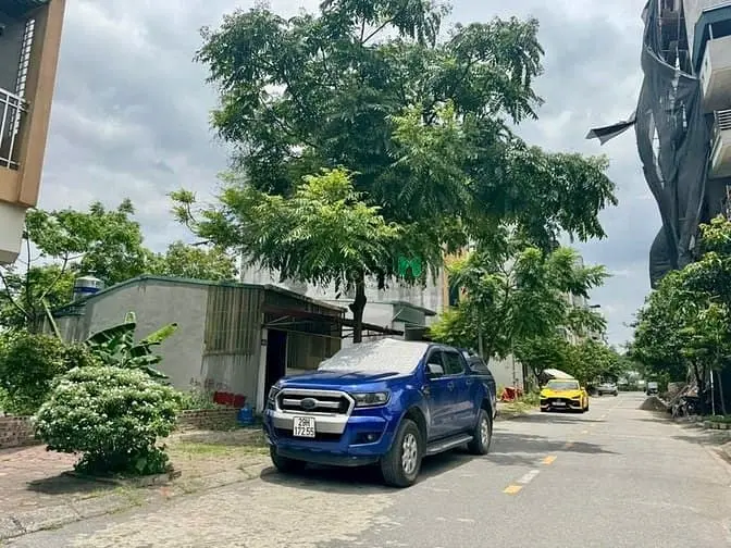 6016528 ảnh đại diện 1