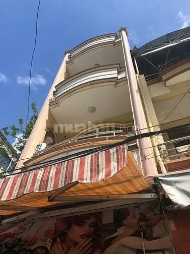6017918 ảnh đại diện 1