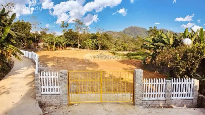 6017504 ảnh đại diện 1