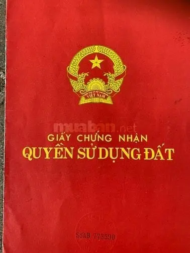 6017661 ảnh đại diện 1