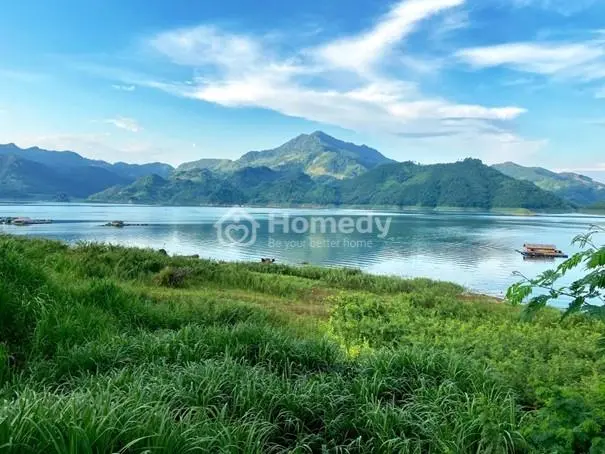 6017740 ảnh đại diện 1