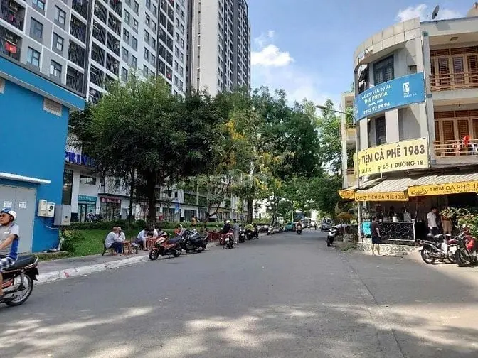 6017078 ảnh đại diện 1
