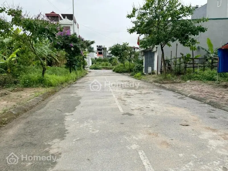 6017812 ảnh đại diện 1