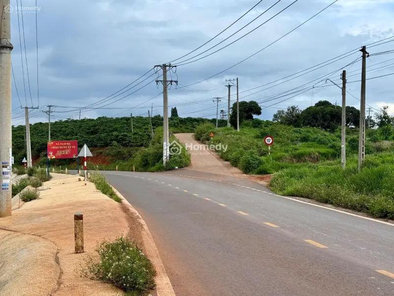 6017151 ảnh đại diện 1