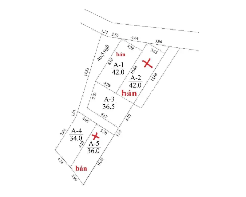 6017578 ảnh đại diện 1