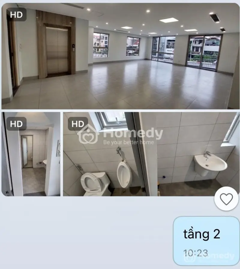 6017543 ảnh đại diện 1