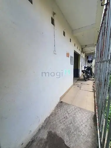 6017201 ảnh đại diện 1