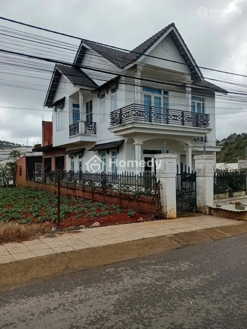 6016970 ảnh đại diện 1