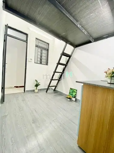 6017288 ảnh đại diện 1